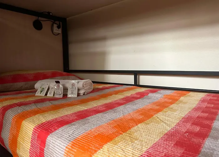 Cconforthotels Host Auberge de jeunesse